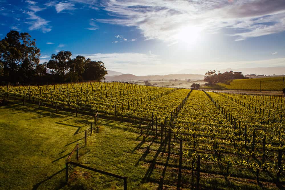 ที่เที่ยวเมลเบิร์น