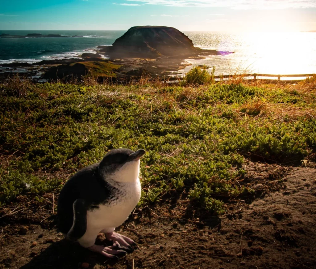 ที่เที่ยวเมลเบิร์น