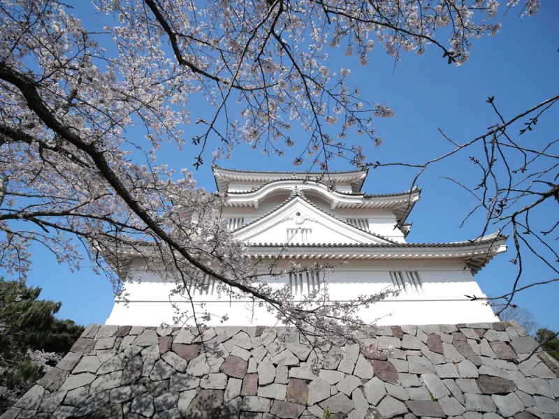 ที่เที่ยวชิบะ ที่เที่ยงญี่ปุ่น