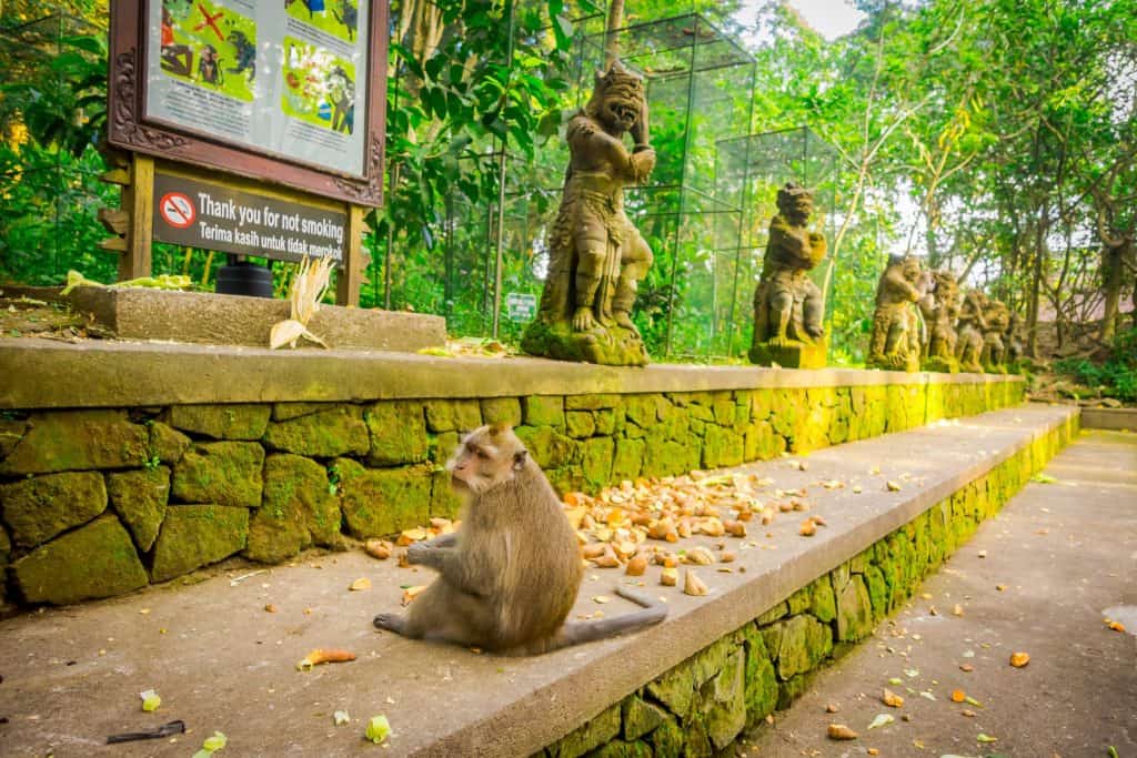 ที่เที่ยวบาหลี