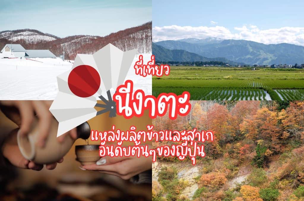 ที่เที่ยวนีงาตะ ที่เที่ยวญี่ปุ่น