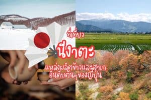 ที่เที่ยวนีงาตะ ที่เที่ยวญี่ปุ่น