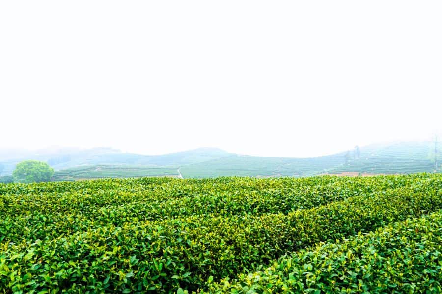 ที่เที่ยวหางโจว ที่เที่ยวจีน