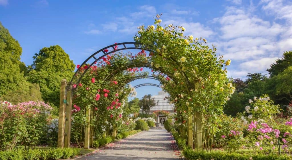 ที่เที่ยวไครท์เชิร์ช ที่เที่ยวนิวซีแลนด์