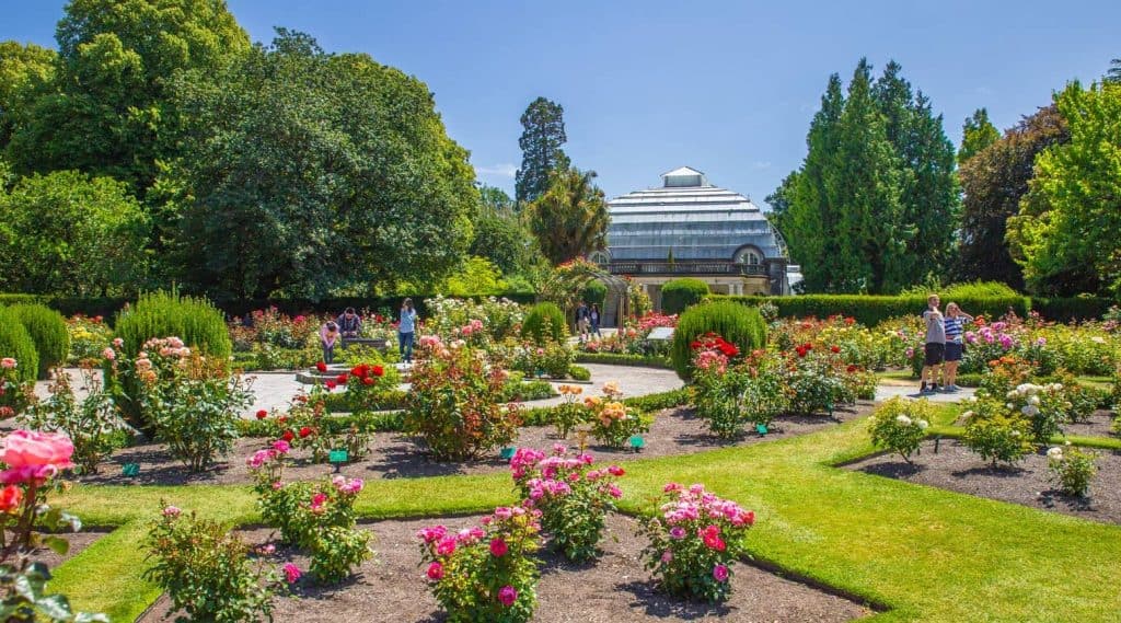 ที่เที่ยวไครท์เชิร์ช ที่เที่ยวนิวซีแลนด์