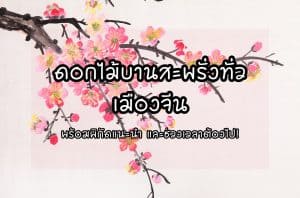 ดอกไม้เมืองจีน