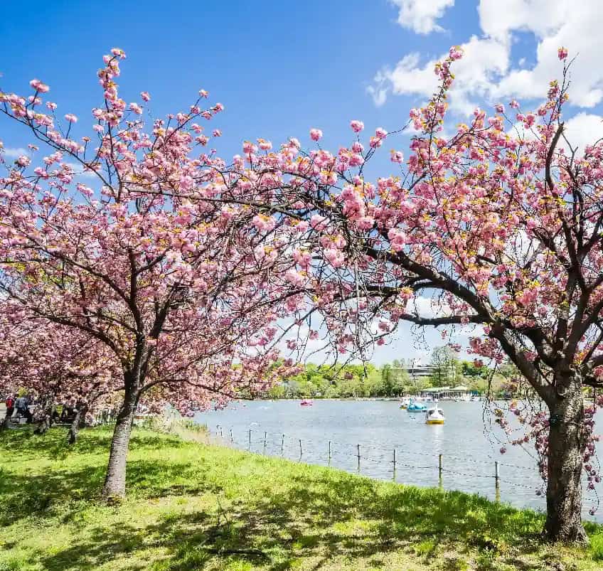 เที่ยวโตเกียว ที่พักโตเกียว
