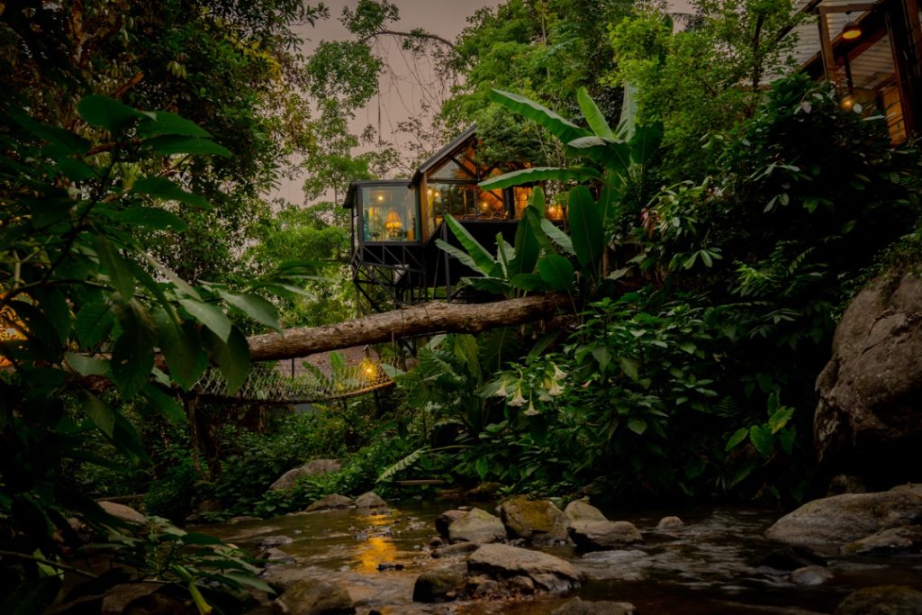 ตามรอยจูราสสิคเวิลด์ที่พักในไทยบรรยากาศเหมือนยุคไดโนเสาร์