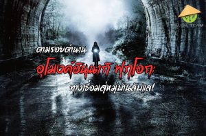 ตามรอยตำนานหลอน อุโมงค์อินุนากิ ฟุกุโอกะ ทางเชื่อมสู่หมู่บ้านลับแล!