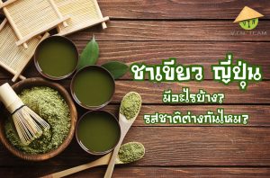 ชาเขียว ญี่ปุ่น
