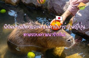 พิกัดสวนสัตว์และคาเฟ่คาปิบาร่าในญี่ปุ่น