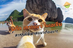 พิกัดเกาะแมว ที่เที่ยวเอเชีย