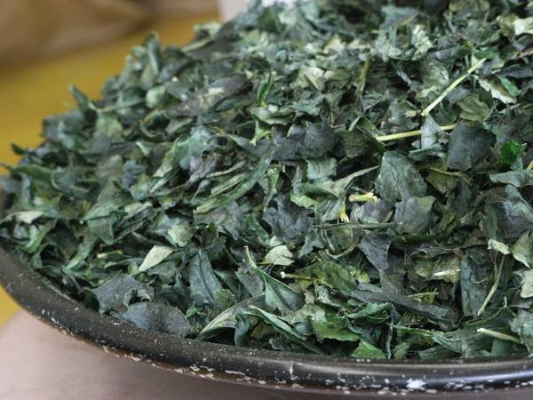 ชาเขียว ญี่ปุ่น เทนฉะ (Tencha)