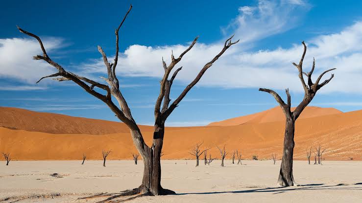 พิกัดที่เที่ยว Unseen ทั่วโลก Sossusvlei, Namibia