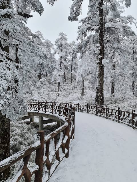 ภูเขาหิมะวาวู่ เที่ยวจีน ทัวร์จีน