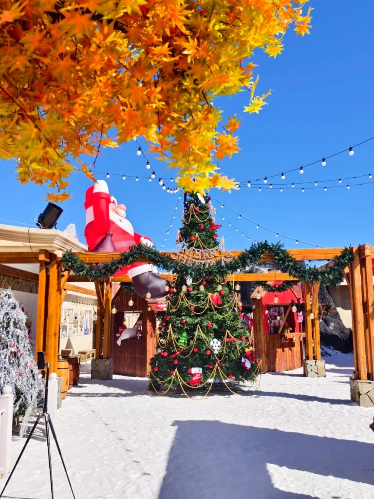 หมู่บ้านซานต้ากลางเซินเจิ้น กับคาเฟ่ BLUE CONCEPT Cafe & Farm