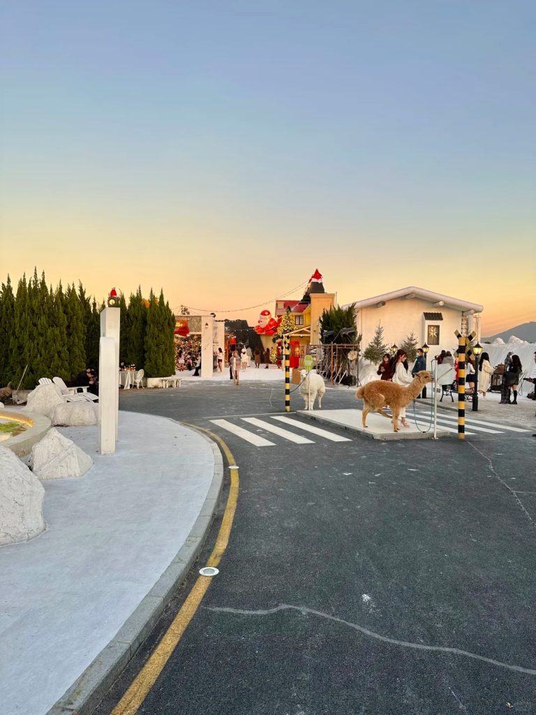 หมู่บ้านซานต้ากลางเซินเจิ้น กับคาเฟ่ BLUE CONCEPT Cafe & Farm