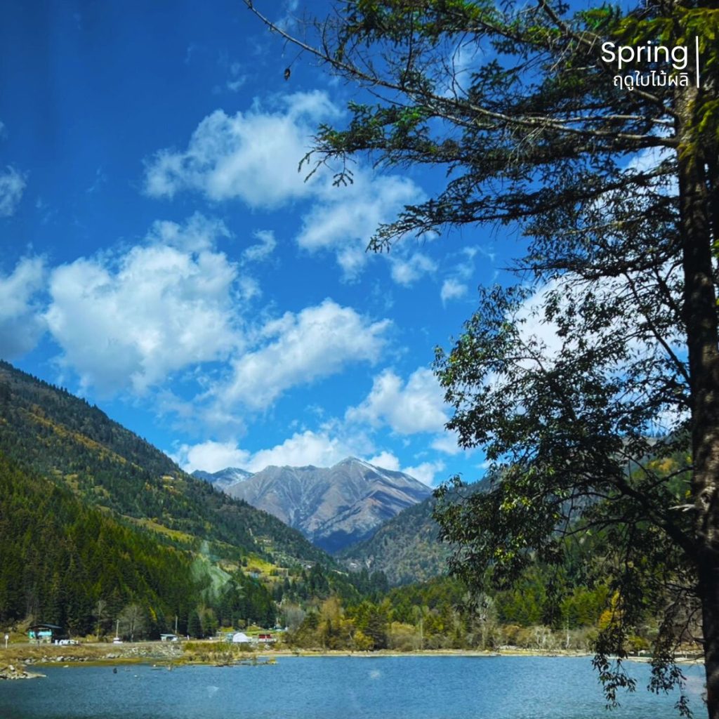 ต๋ากู่ปิงชวน