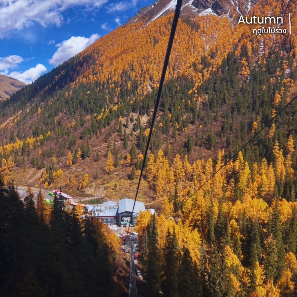 ต๋ากู่ปิงชวน