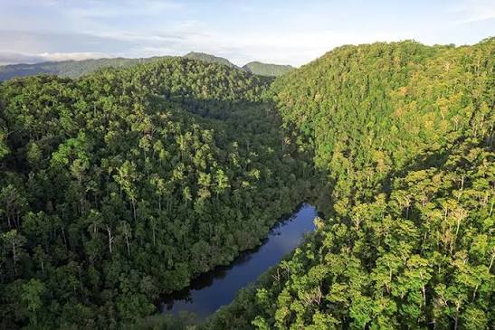 หมู่เกาะราชาอัมพัต