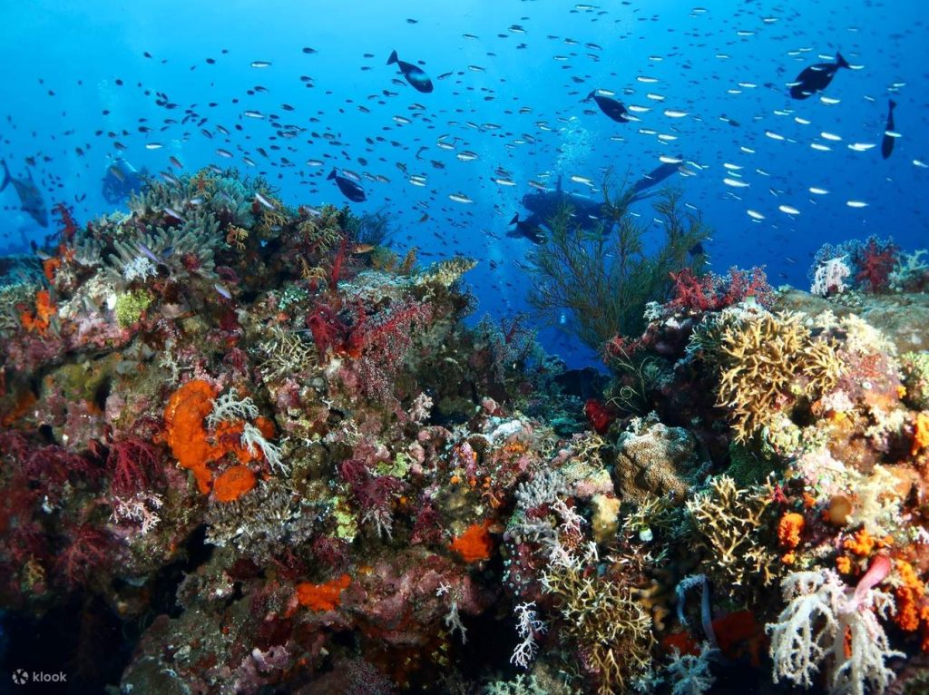 หมู่เกาะราชาอัมพัต