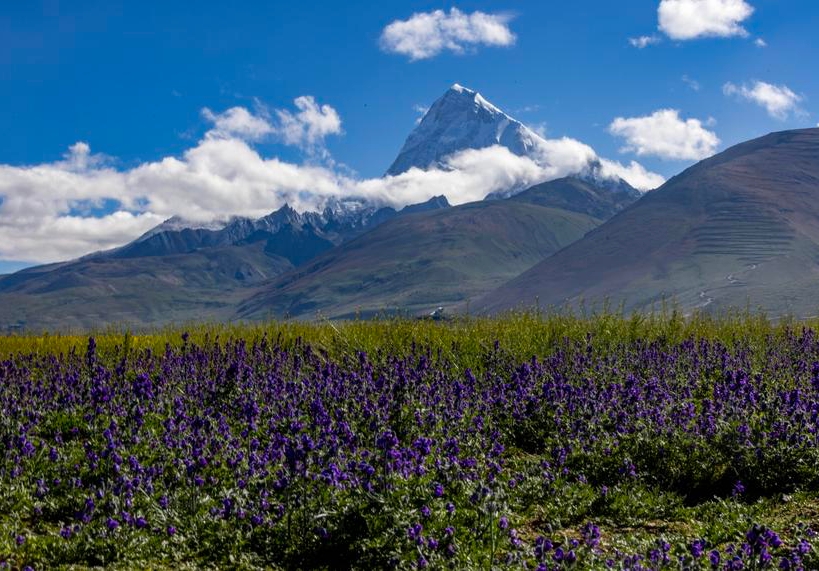 ภูเขาโจโมลฮารี จีน