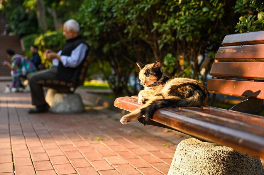 Macka Democracy Park