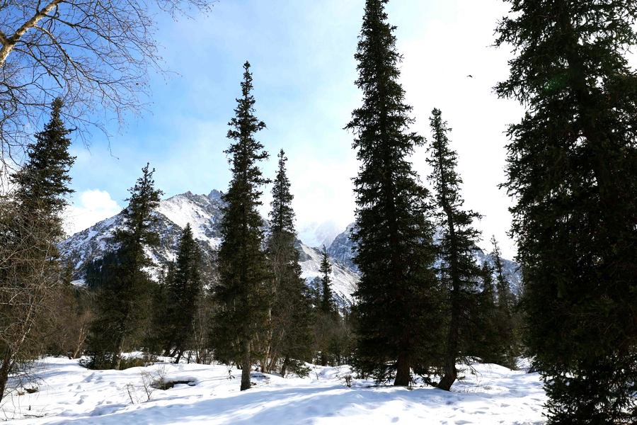 อุทยานแห่งชาติอาลา-อาชา คีร์กีซสถาน