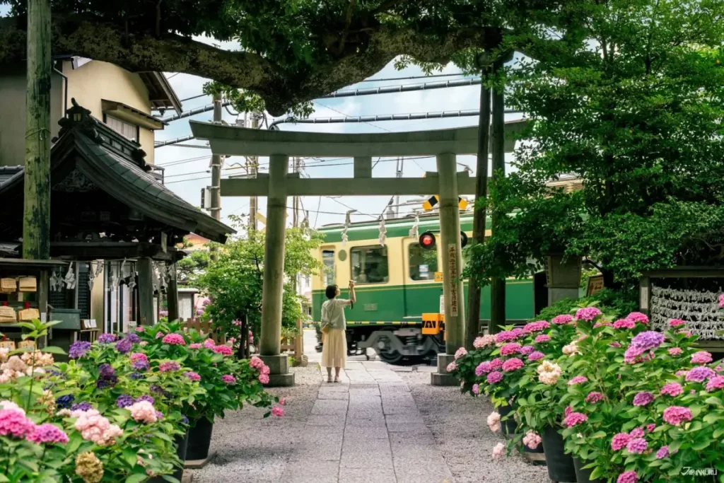 ที่เที่ยวคามาคุระ ตามรอยซีรีส์ Can This Love Be Translated?