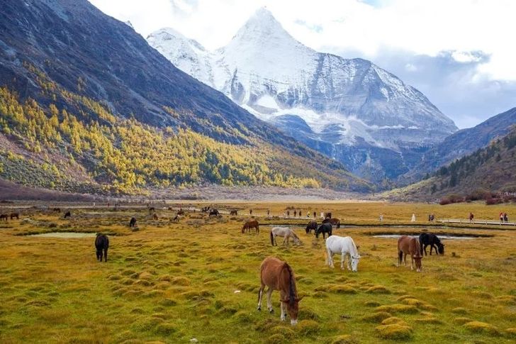 ทุ่งหญ้าลั่วหรง อุทยานในย่าติง มณฑลเสฉวน