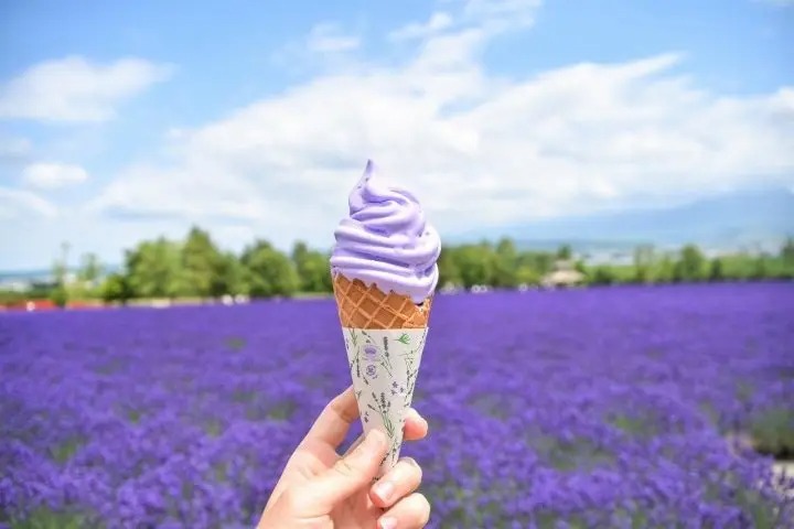 ฟาร์มโทมิตะ