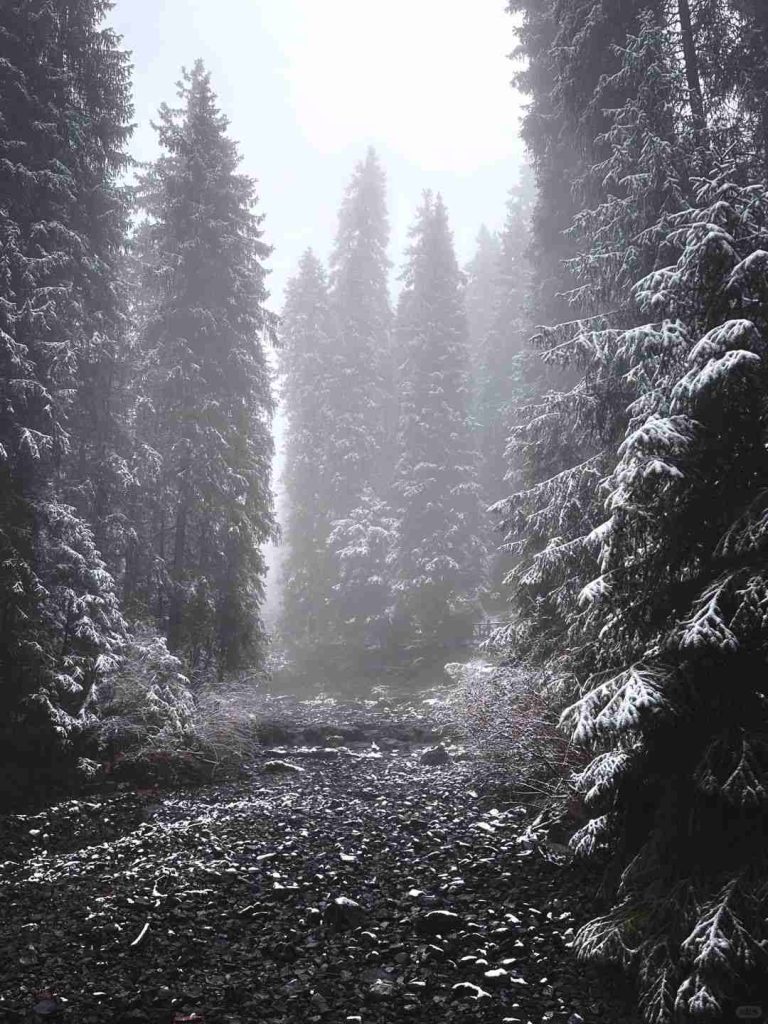 อุทยานเขาเทียนซาน