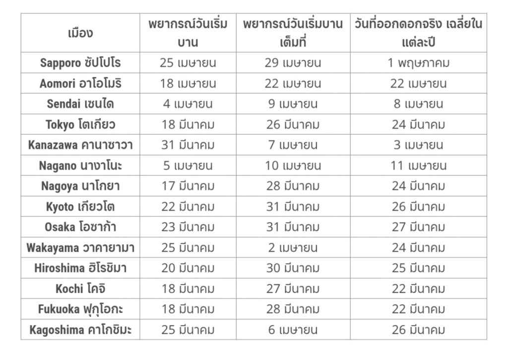 พยากรณ์ซากุระญี่ปุ่น 2026
