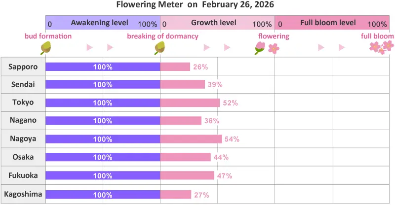 พยากรณ์ซากุระญี่ปุ่น 2026