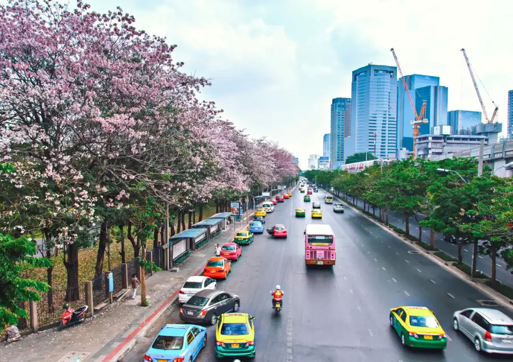 ชมพูพันธุ์ทิพย์ 2569