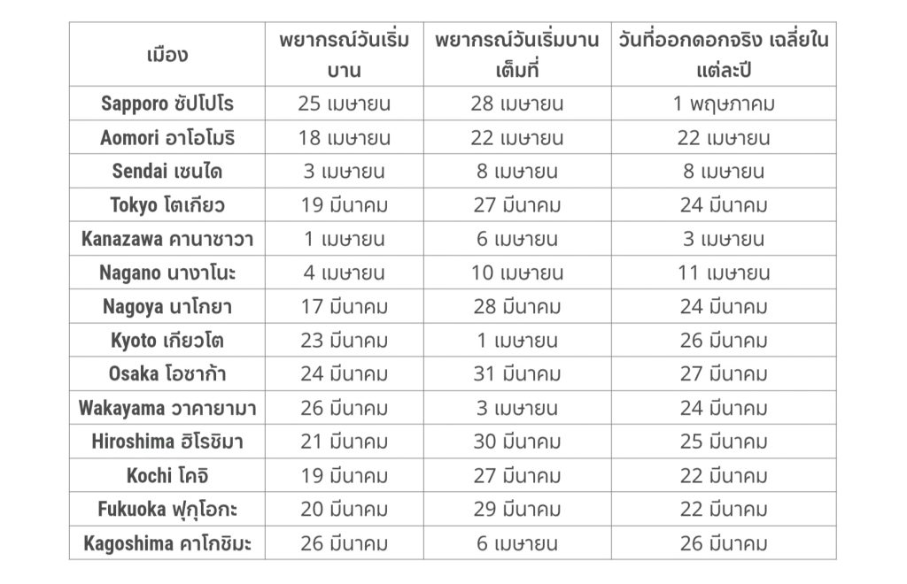 อัปเดต พยากรณ์ซากุระญี่ปุ่น 2026 ฉบับ 8