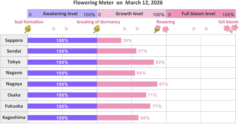 อัปเดต พยากรณ์ซากุระญี่ปุ่น 2026 ฉบับ 8