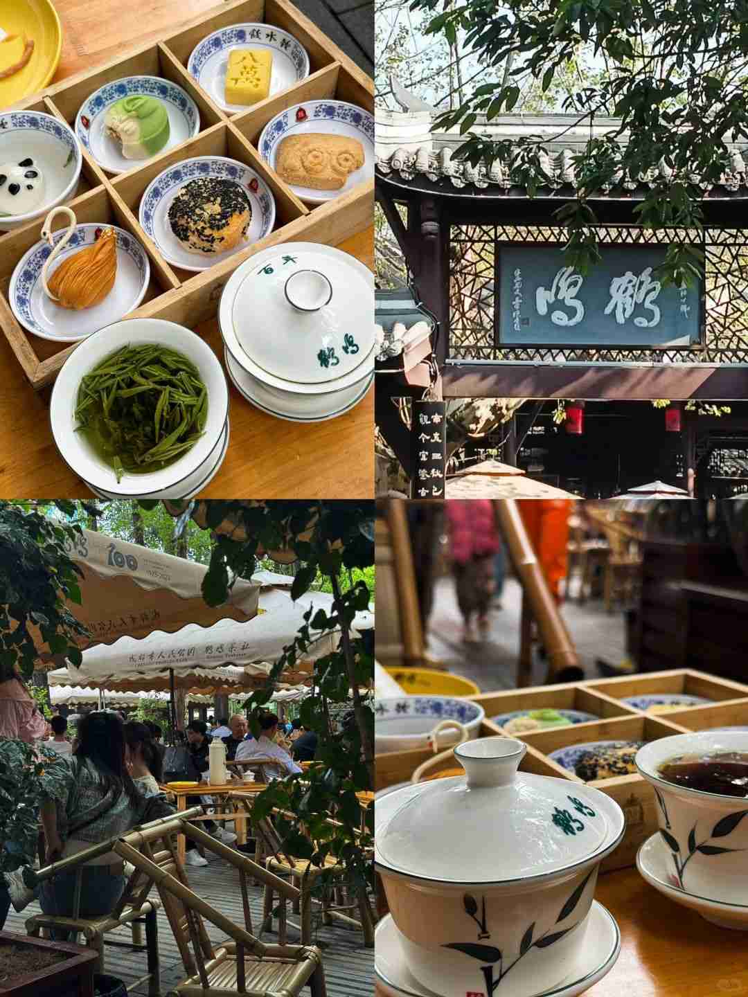 ชิมชาที่เฉิงตู