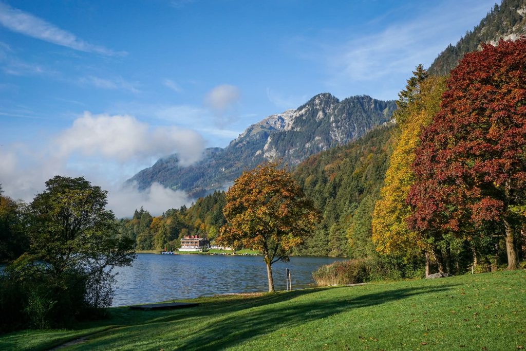 อัลพ์บัช ออสเตรีย