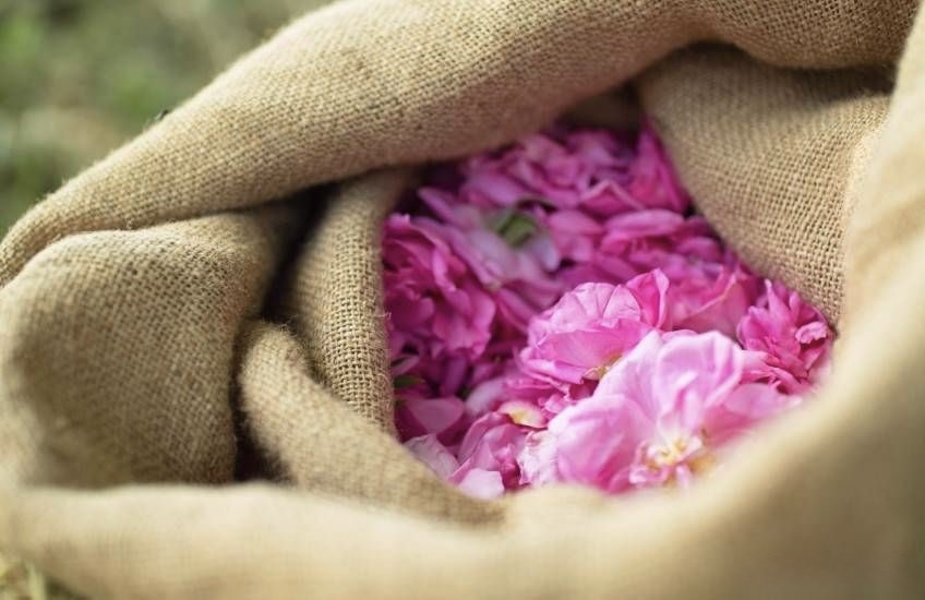 เที่ยวฝรั่งเศส กราซ