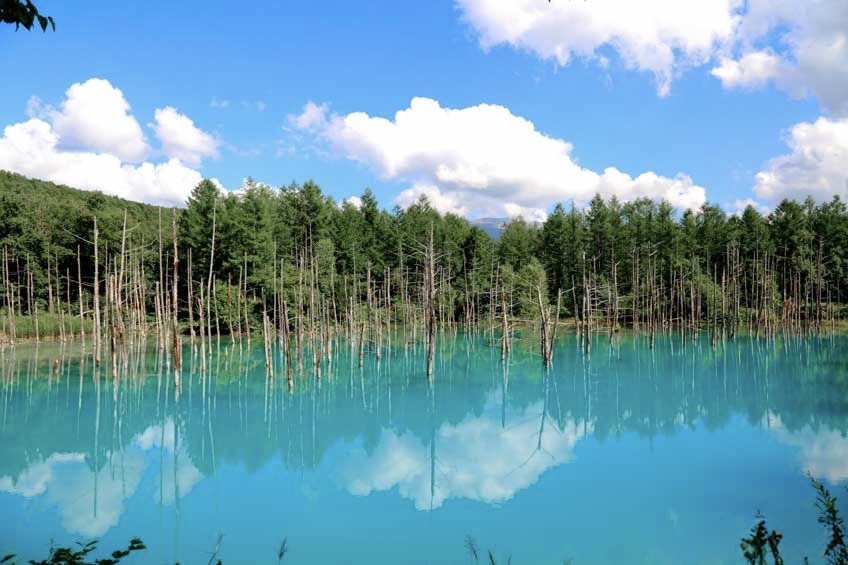 เที่ยวฮอกไกโด สระอะโออิเคะ