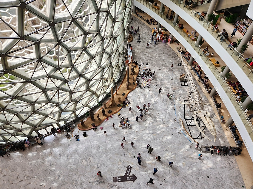 เที่ยวจีน พิพิธภัณฑ์ประวัติศาสตร์ธรรมชาติเซี่ยงไฮ้