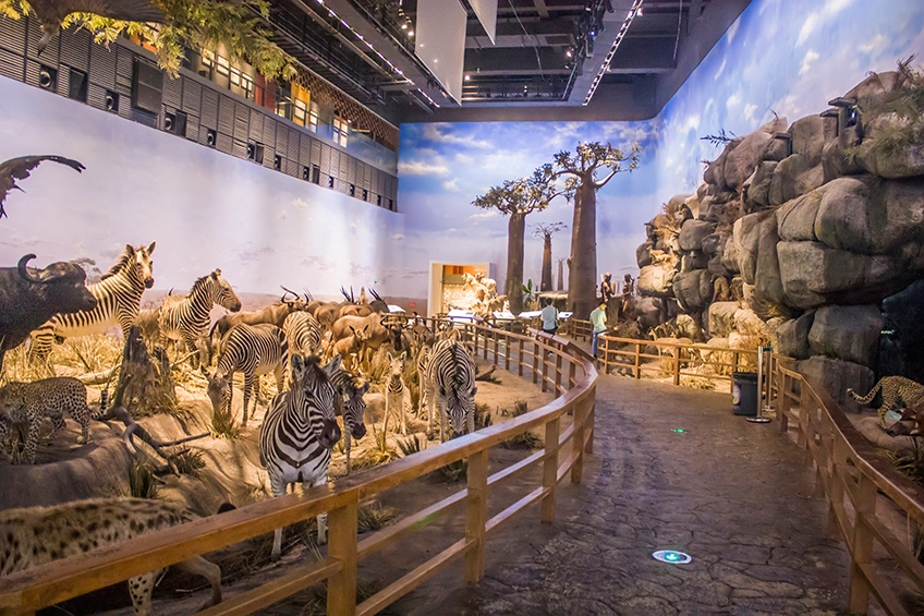 เที่ยวจีน พิพิธภัณฑ์ประวัติศาสตร์ธรรมชาติเซี่ยงไฮ้