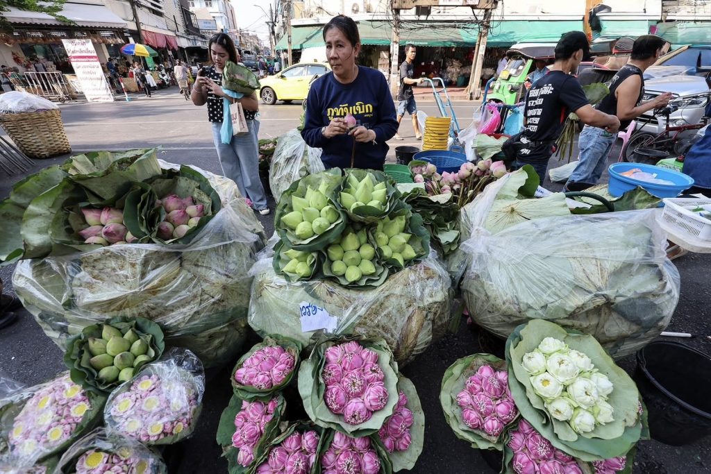 เทรนด์ “ดอกบัว” มาแรง! Gen Z แห่ถ่ายรูปจนกลายเป็นเทรนด์ใหม่!