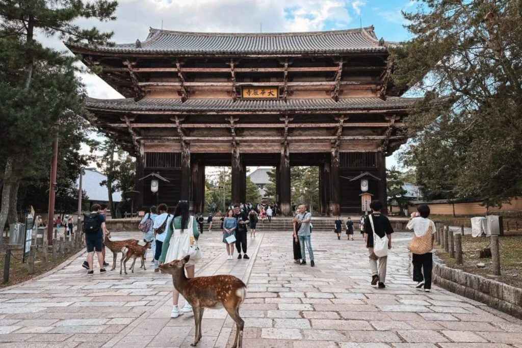 เที่ยว NARA PARK สวนกวางทูตของเทพเจ้าญี่ปุ่น !