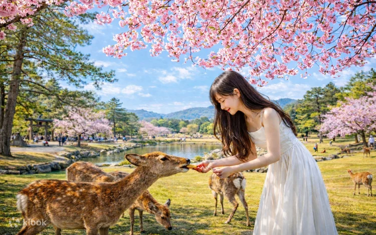 เที่ยว NARA PARK สวนกวางทูตของเทพเจ้าญี่ปุ่น !