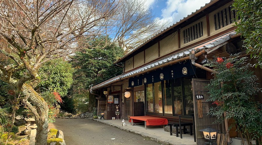 วัดเนียงเนียงจิ (Nyan-nyan-ji) เที่ยวเกียวโต เที่ยวญี่ปุ่น ทัวร์เกียวโต ทัวร์ญี่ปุ่น