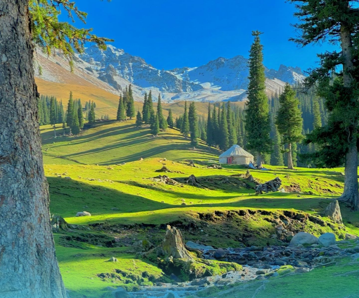 ทุ่งหญ้านาราถี (Nalati Grassland) เที่ยวซินเจียง ทัวร์ซินเจียง