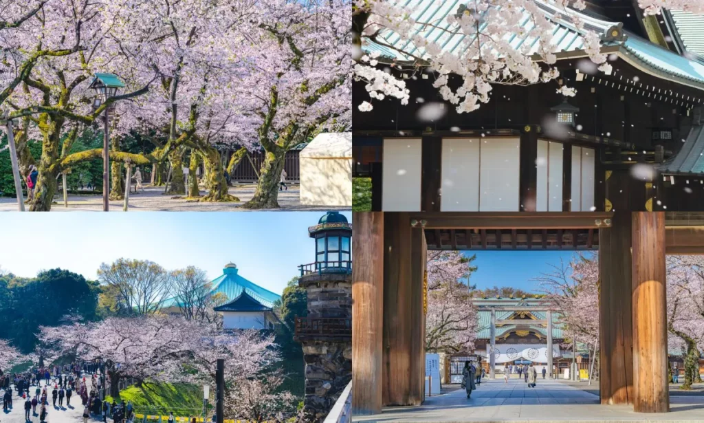 ศาลเจ้ายาสุคุนิ (Yasukuni Shrine) เที่ยวโตเกียว เที่ยวญี่ปุ่น ทัวร์โตเกียว ทัวร์ญี่ปุ่น