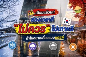 เตือนแล้วนะ! ช่วงเวลาที่ "ไม่ควร" ไปเกาหลี ถ้าไม่อยากเที่ยวแบบนอยด์